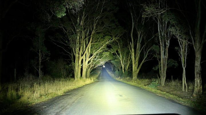 9" Night Hawk Variable Light Intensity - Single