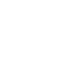 World Distribution icon-01